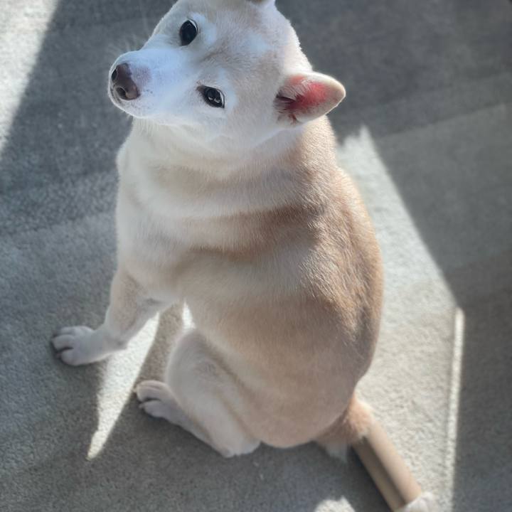 Fc9a15ae 23fa 4bbc 9472 57170b647490 1641939153410