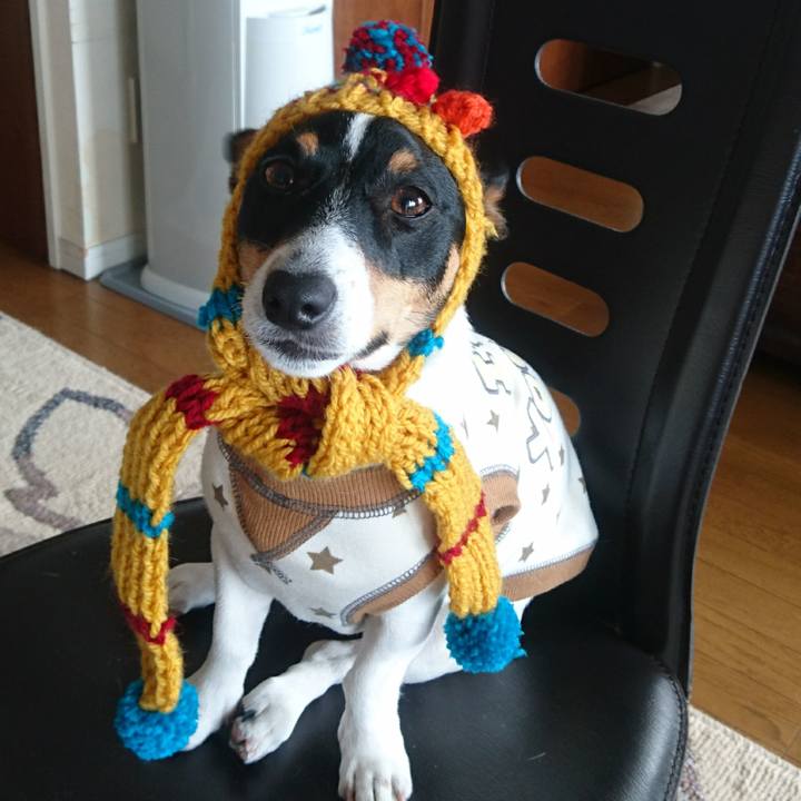 Fc9a560e b776 4de2 af2b fe53e0189e15 1550381774752