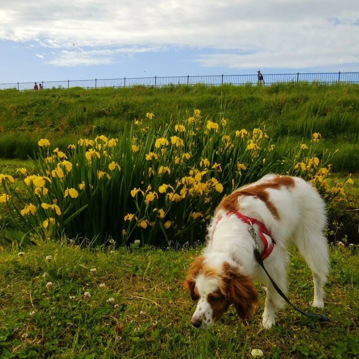 Fc9a5687 0fdc 41cb b596 eeff658a7c90 1557402212622