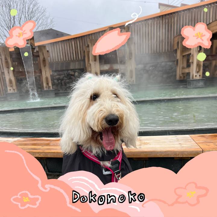 Fc9a7d6c b4d4 44be afd1 6921f0b6f3d8 1775201074406