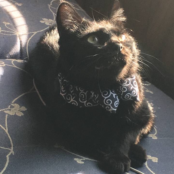 Fc9a9109 504c 433d 9037 be24e301a4b4 1535870014809