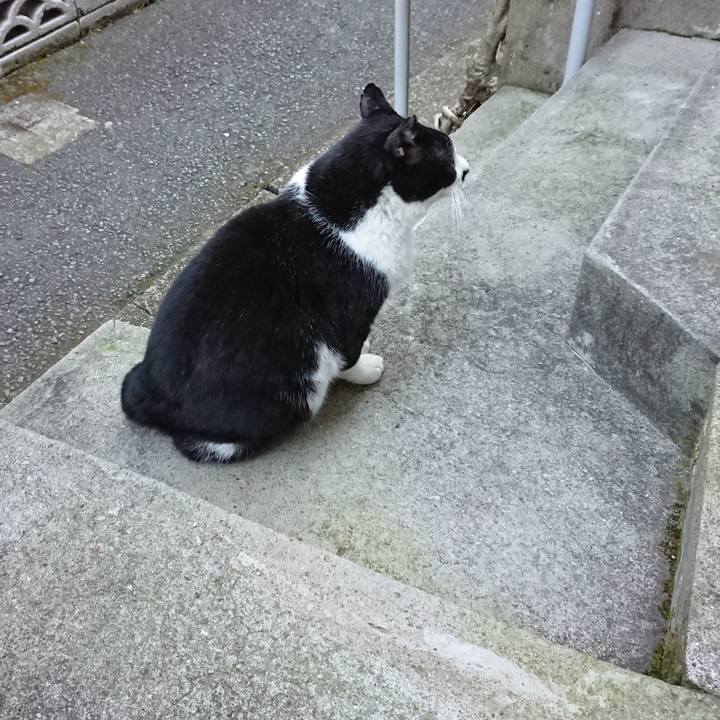 Fc9abe73 0de5 4591 820c 6129639195c7 1671923776005