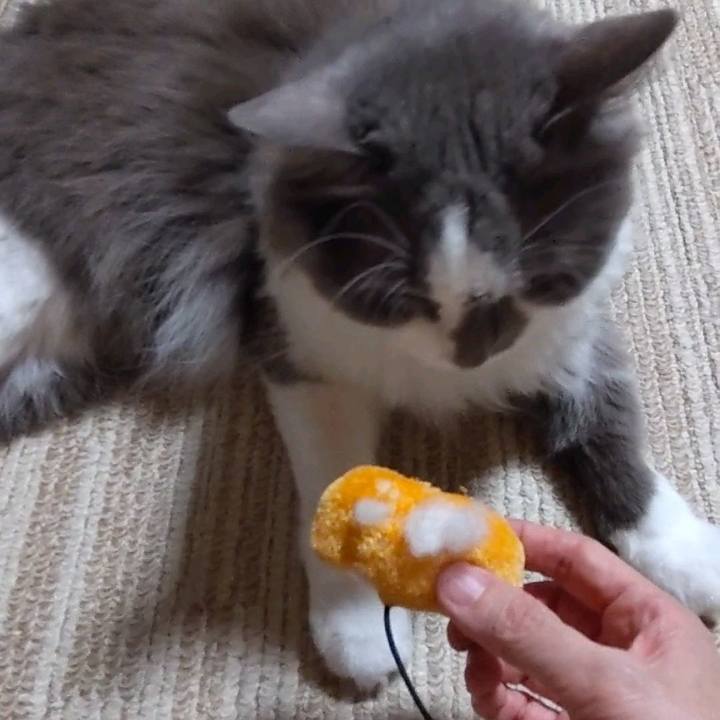 Fc9ac06d 5371 45ce 9011 788b2c626dc8 1693565323584