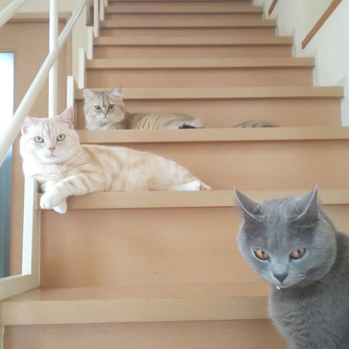 Fc9aca05 7cce 4913 b4b2 c1aac0f67ee5 1561418354426