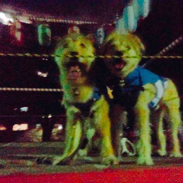 Fc9aefa8 ca1b 4044 b9d7 9ffbf60582f9 1532879903793