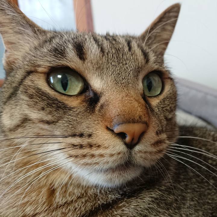 Fc9af0d2 b5ba 443d 8fde dca9f59c9473 1579562100722