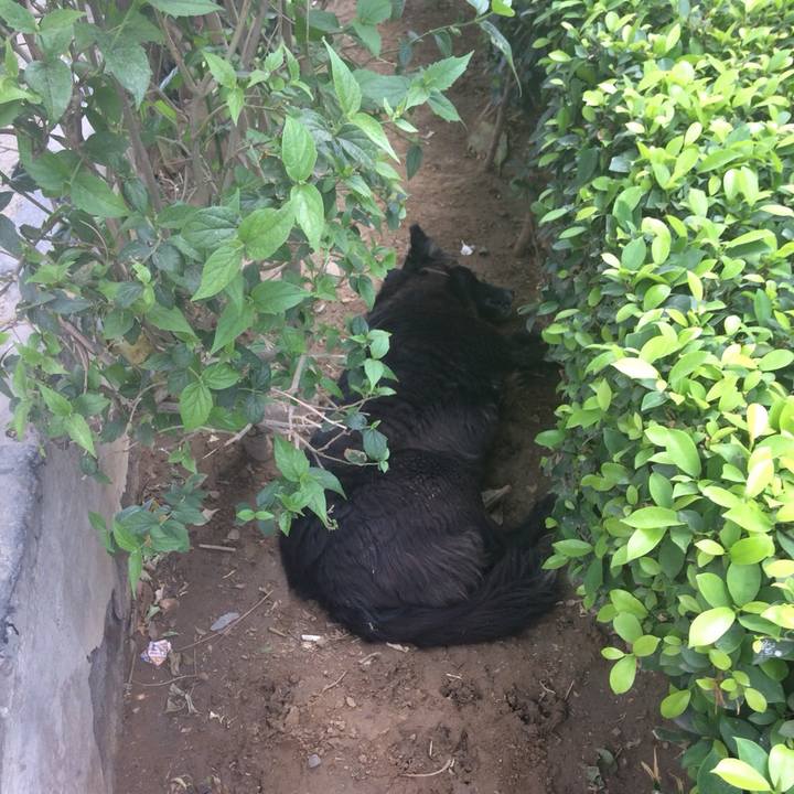 Fc9af78d 5344 46ee b82d c68323409e6f 1526885232683