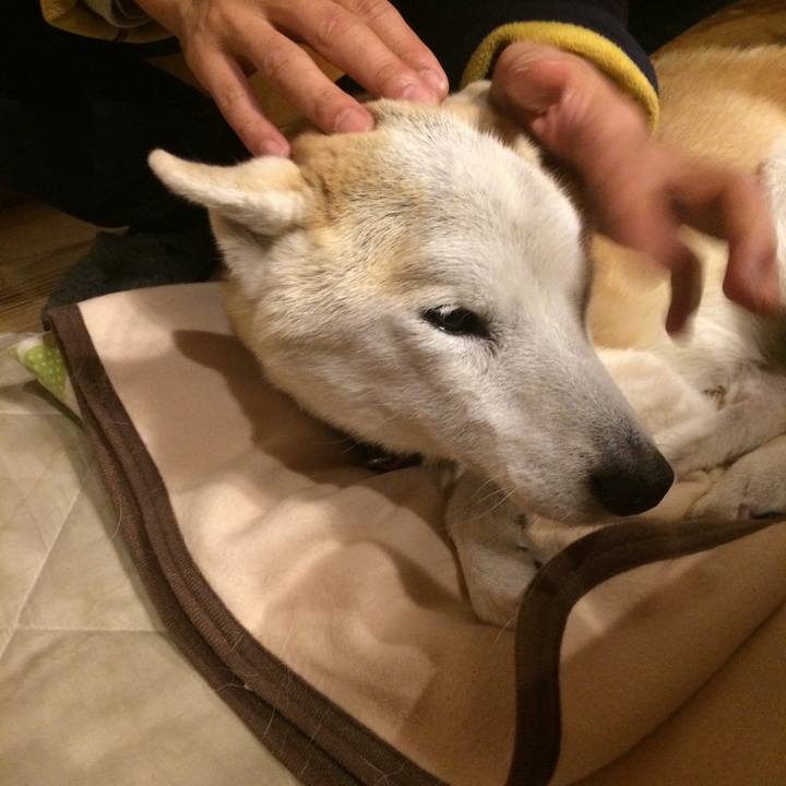 Fc9af869 5b62 44c3 a269 0bd925de653b 1581861257478