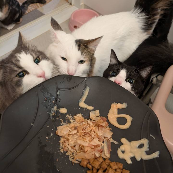 Fc9af8f2 1344 48d8 beb7 75d0ec78724c 1757328988530