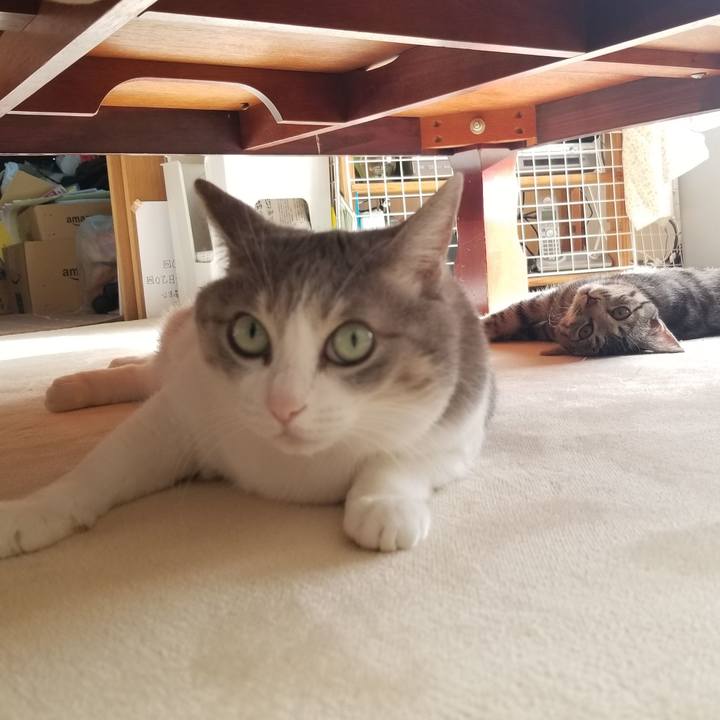 Fc9b0a0f 1541 49c9 8e50 08a6aa0e3b20 1670426033846