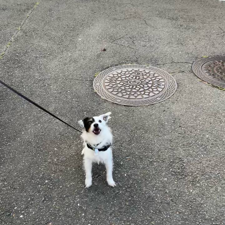 Fc9b3656 0afe 49ba a9b0 831800aa7593 1717747275625