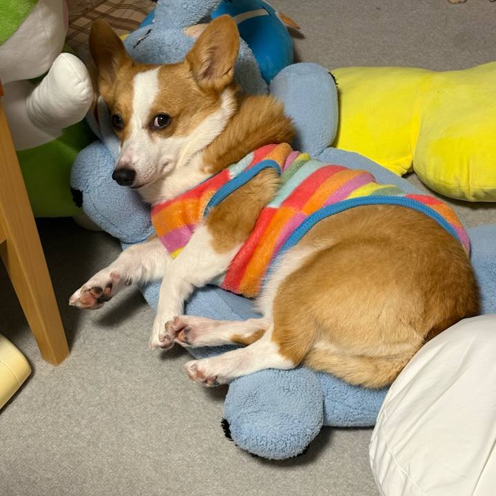 Fc9b6b8f b88a 4308 b1c4 cca3cae99e2c 1773503712651