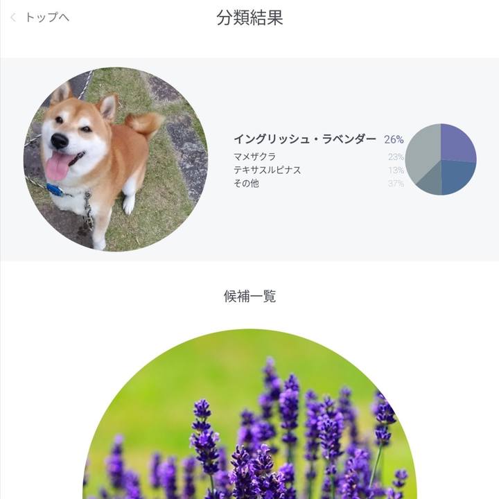 Fc9b77dc 81a5 4dc3 b745 1309609b9075 1589501127953