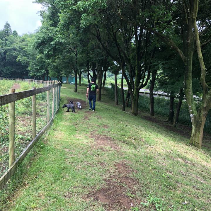 Fc9bf4b1 ed91 44e7 ae27 5fb72a3df407 1529812063959