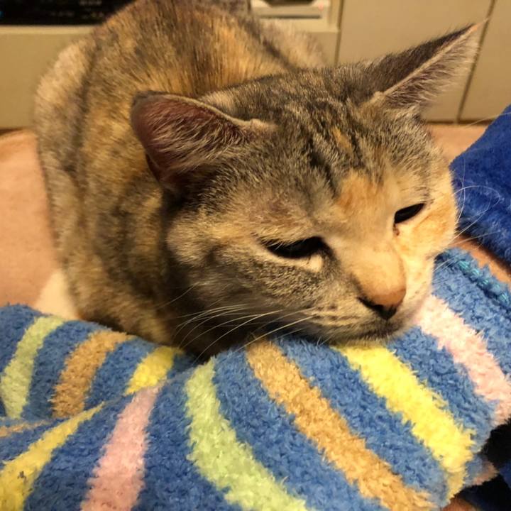 Fc9c12a4 0ba2 436d b5e0 ff379a43060d 1578623640260