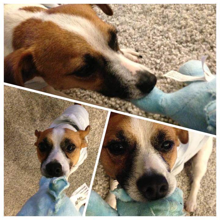 Fc9c5ae2 e49a 4142 9525 2bdc0dccd6d5 1653870070732