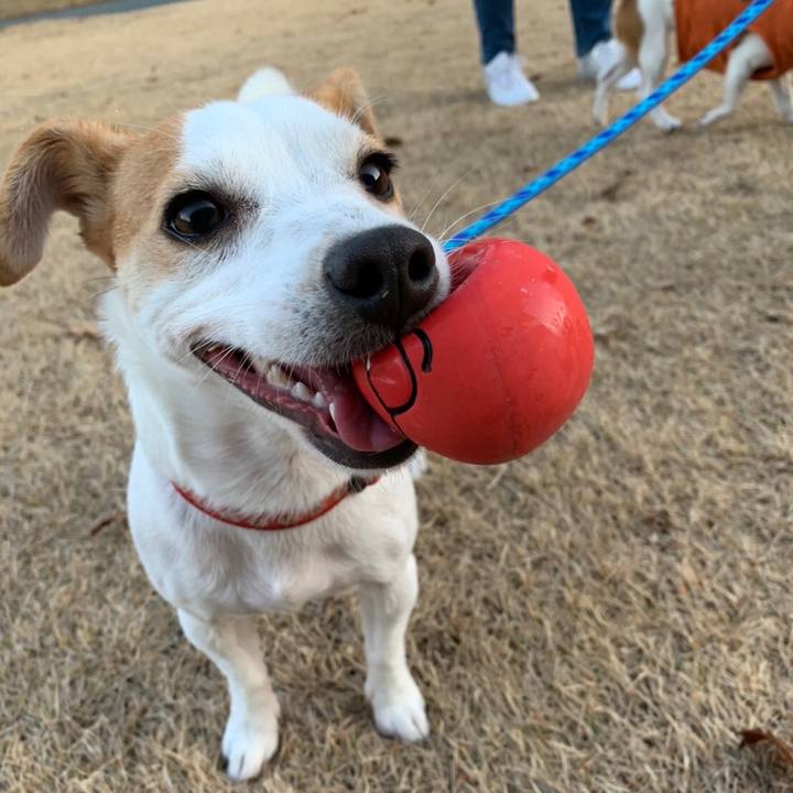 Fc9c77c5 ab1a 4dd1 abc7 38a3dee7b4fb 1577018413181