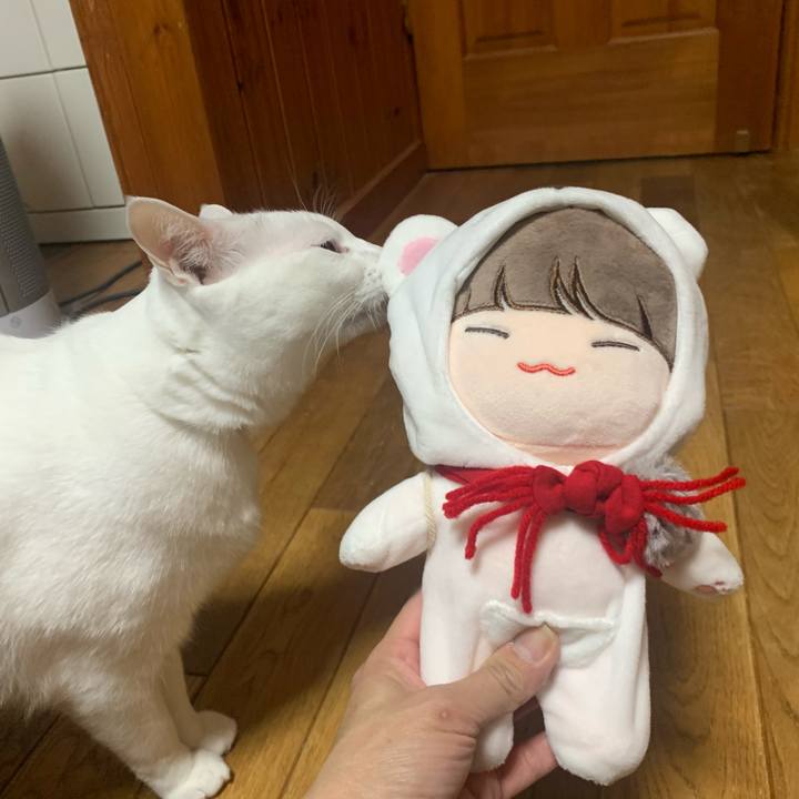 Fc9c7f48 3c68 40e6 a353 d81110eb18c8 1575207589724