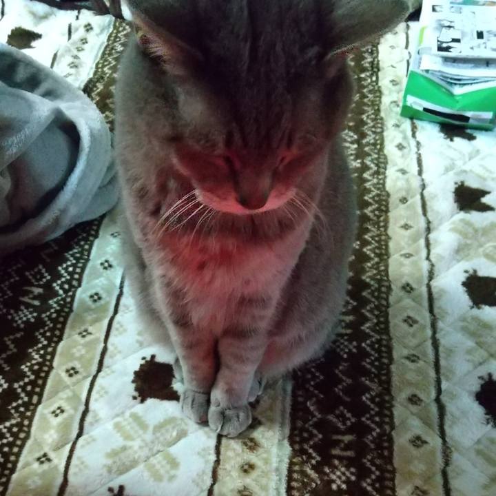 Fc9ce2e6 d28a 4e7b b992 ae83a7e82b1d 1670711383853