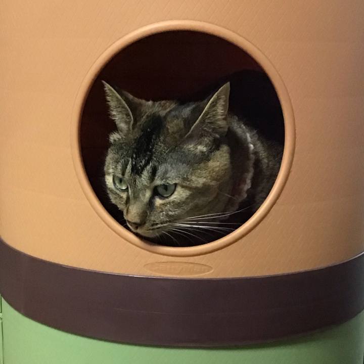 Fc9d2bb9 ce2b 4a50 bfee 04a0456b51d9 1661168577713