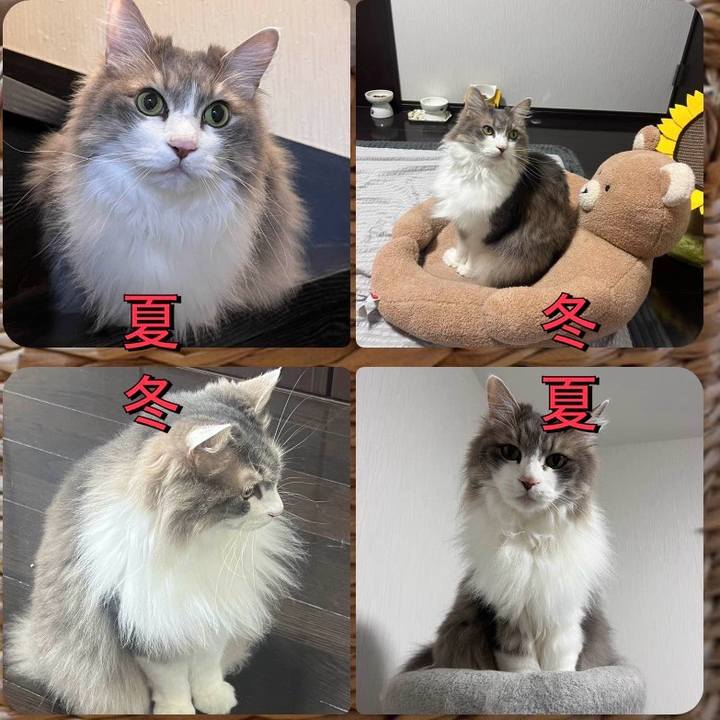 Fc9d67e6 d43d 43b2 875c bb7eb28df6f0 1765704845401