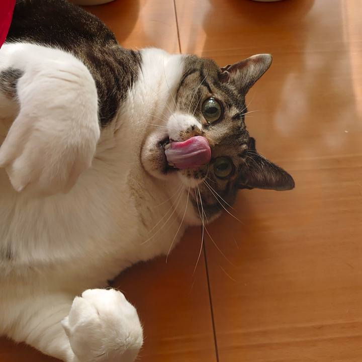 Fc9d6829 7d96 4295 a42b 9122c2a50ea4 1613951937810