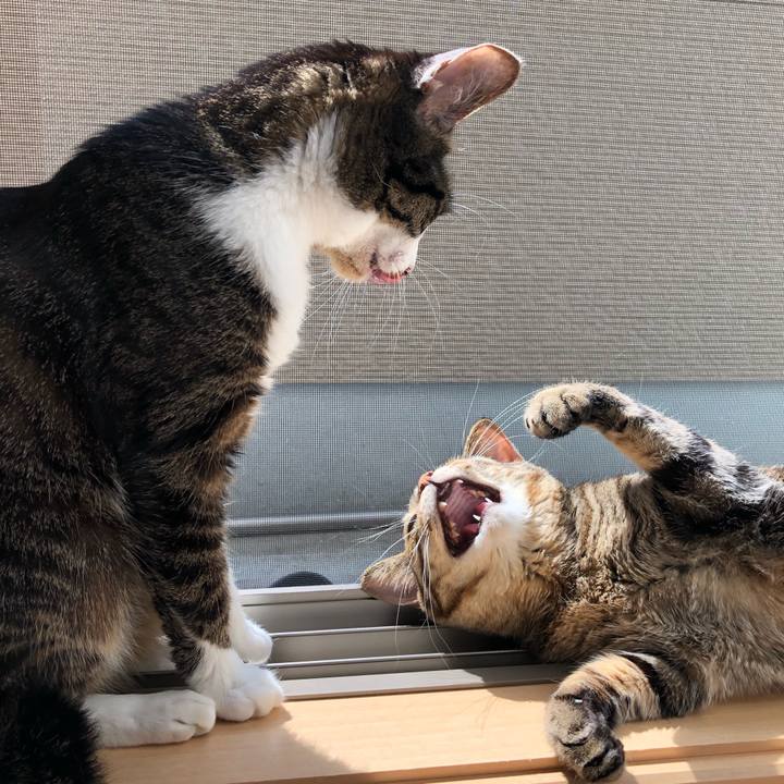 Fc9d7a84 078f 40a9 be49 ce9dcce7a4a9 1553719525749