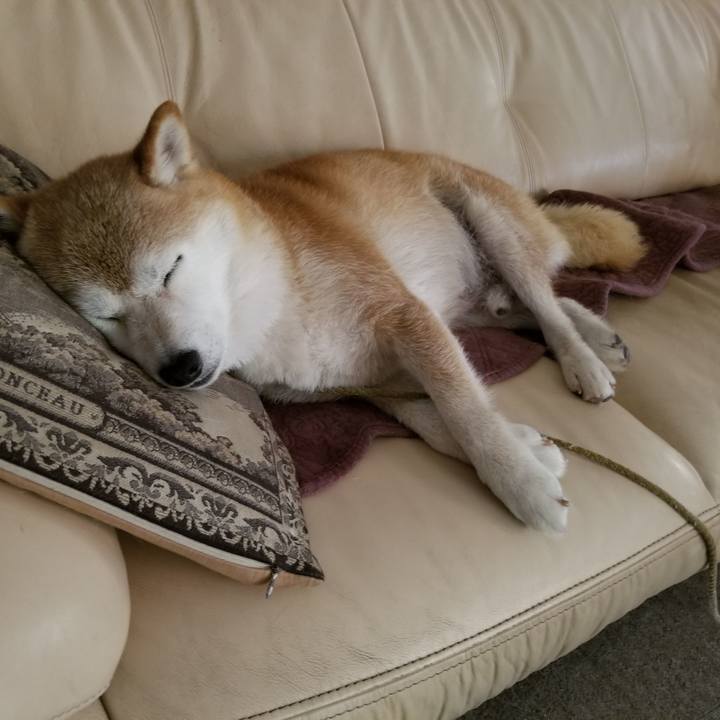 Fc9d94f2 6261 4b25 9af5 9bc317291a5d 1659663627603