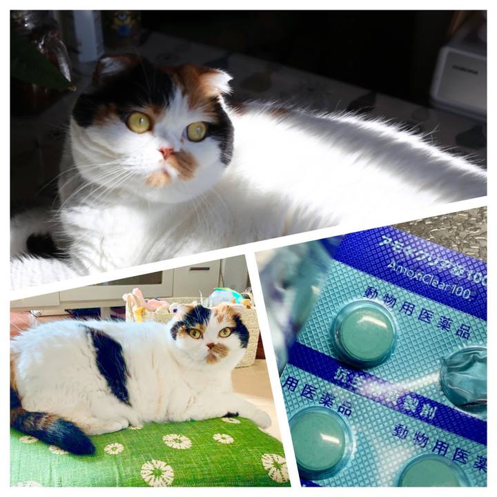 Fc9d9851 eefb 4f4a a19c 776ccf4ad372 1568783341182