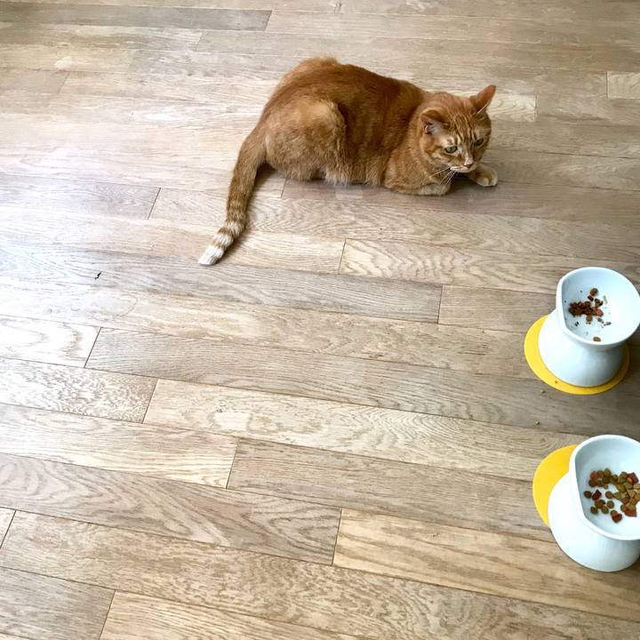 Fc9d9eb0 93fd 4d80 a3cd d31e354a15b0 1558933420800