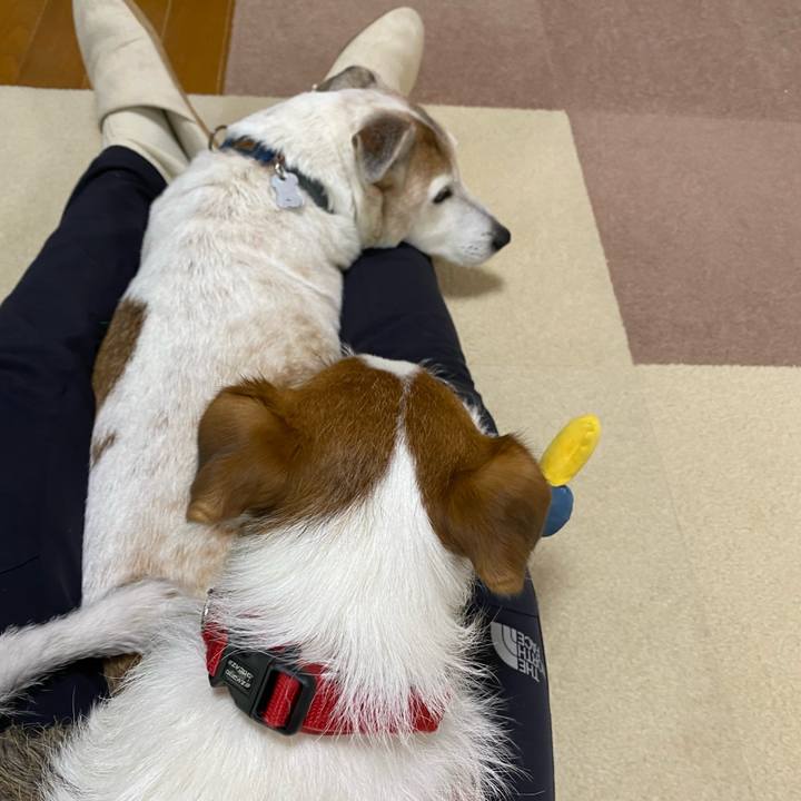 Fc9da1e1 2ac6 4e73 9538 95d99fe131b8 1642990133271