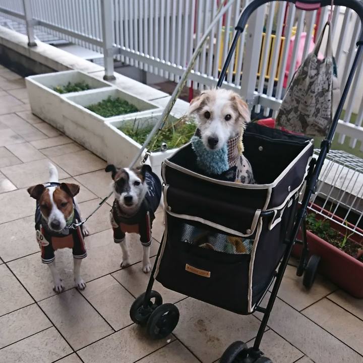 Fc9dfbe1 74f8 44a6 ba24 0ae607dcf20a 1577417532363