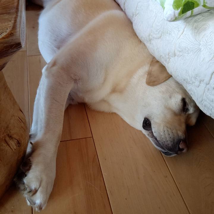 Fc9e1d64 9bce 4a7c be70 675c90e5bfab 1598268081585