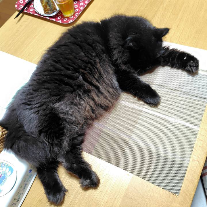 Fc9e436b 979b 4bd9 9058 b313ed8da95f 1759152319458