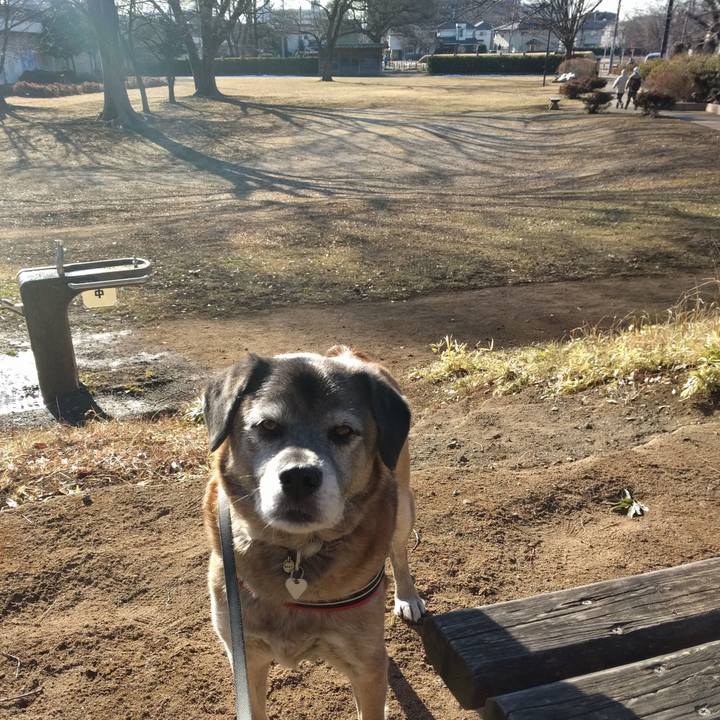 Fc9e49b0 270b 4056 9e56 c951674aca9a 1518048708795