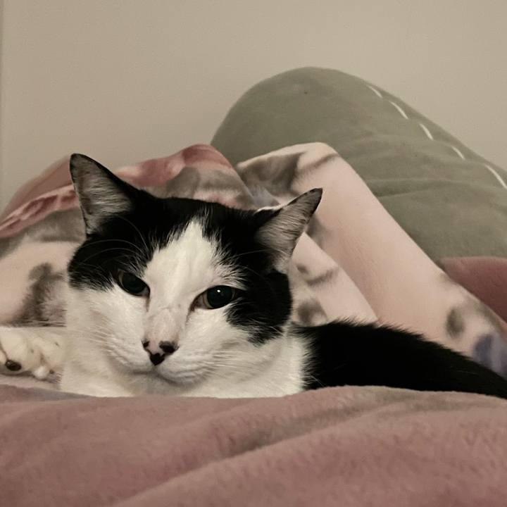 Fc9e6ca7 34cb 4d65 a8bf 8ea2c1c2346b 1677325508594