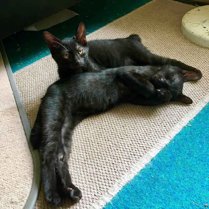 Fc9e901e 3ace 4d7d a3bc bf9e62755de2 1629336681887