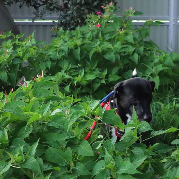 Fc9e9d93 4613 4cf3 b758 ee931afeb4ac 1597833315228