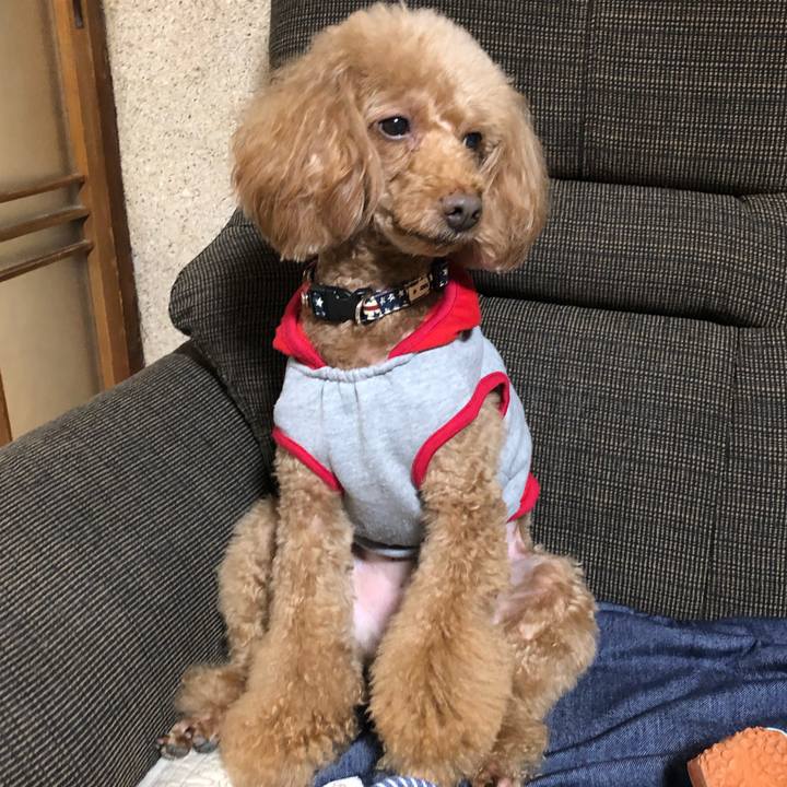 Fc9eae6c 45fd 4088 8c30 34fdf8c8ab39 1619586130209