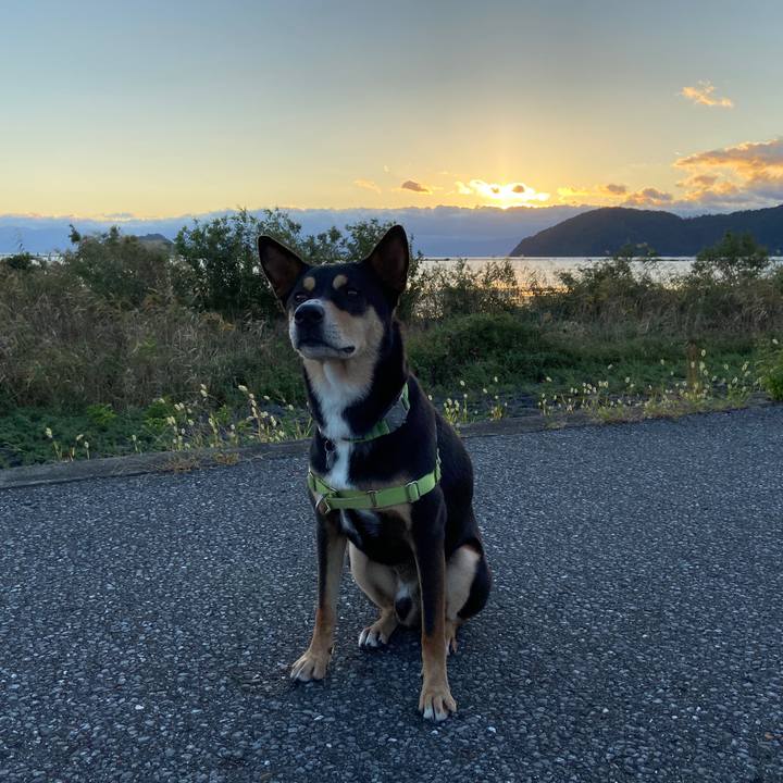 Fc9eba83 3c77 4837 819b ea5a417d6e54 1633519905357