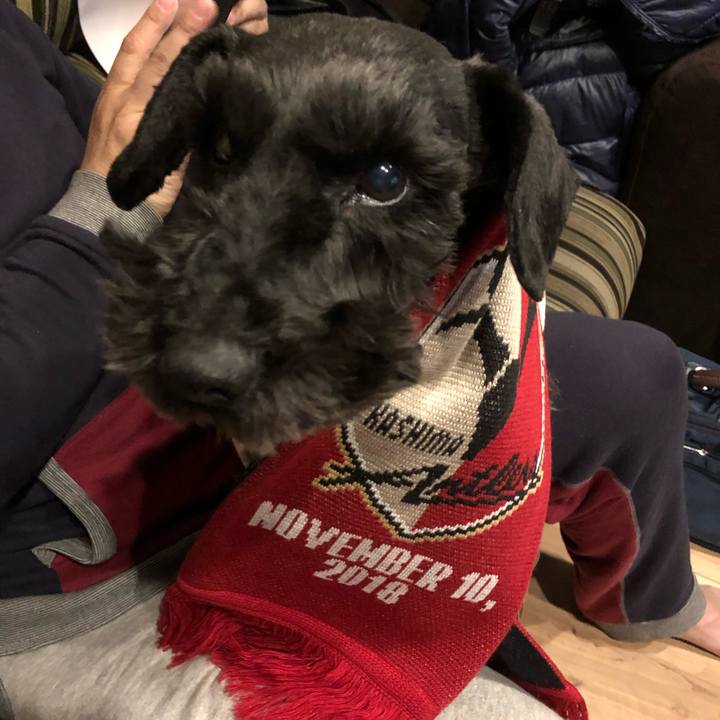 Fc9efce2 dc18 4738 b9a2 e54738a8473d 1549118267674