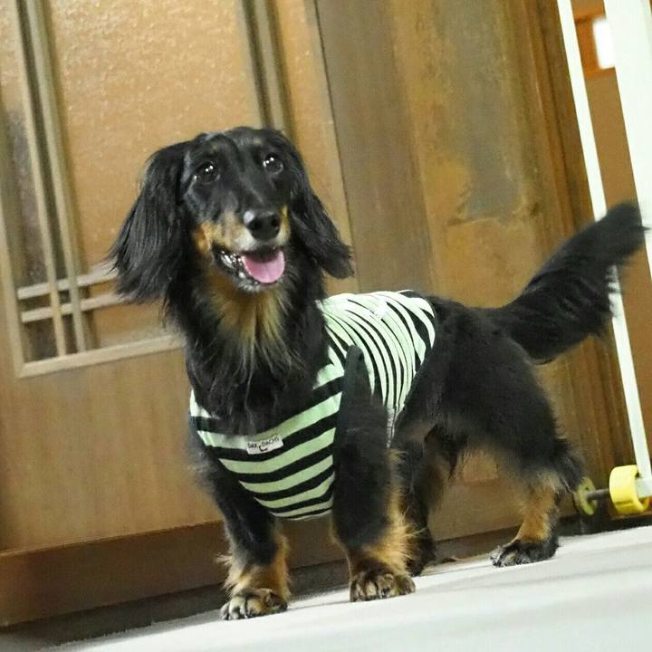 Fc9f1d53 0b7e 470a 8155 6285758b9331 1593606113207