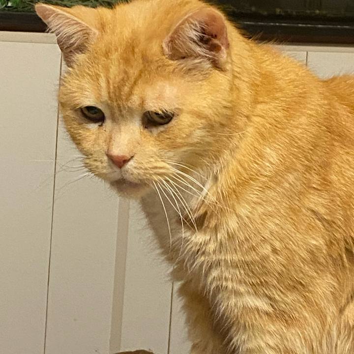 Fc9f462c 44b8 42b7 b852 eaf3cd62b5fd 1614675564586