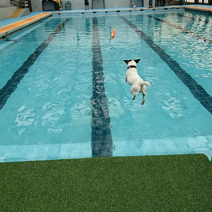 Fc9f49ab 7eff 4573 9e87 386f585192db 1555226570940