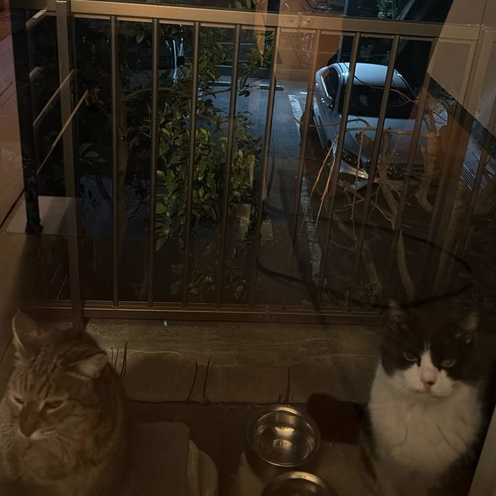 Fc9fab4b 048c 4872 a664 652b9c40d60e 1774182821782