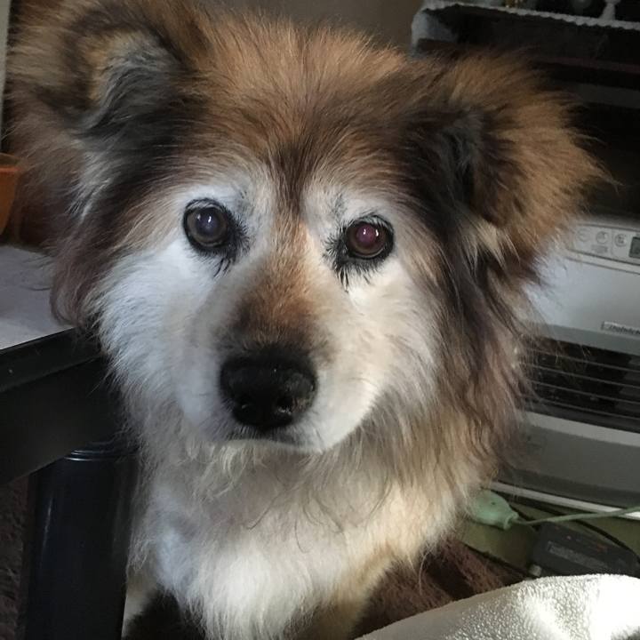 Fc9fd8e2 41b5 4e9f aed3 e896794d13d1 1611011746784