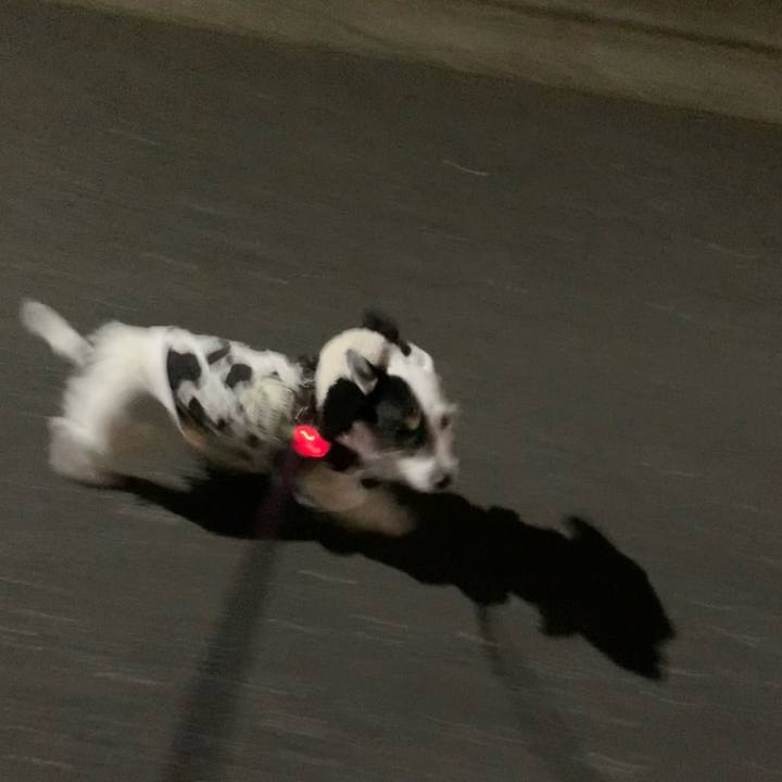 Fc9ff1cd 9df2 41f3 9c55 cb9d22b4fbdc 1706103620344