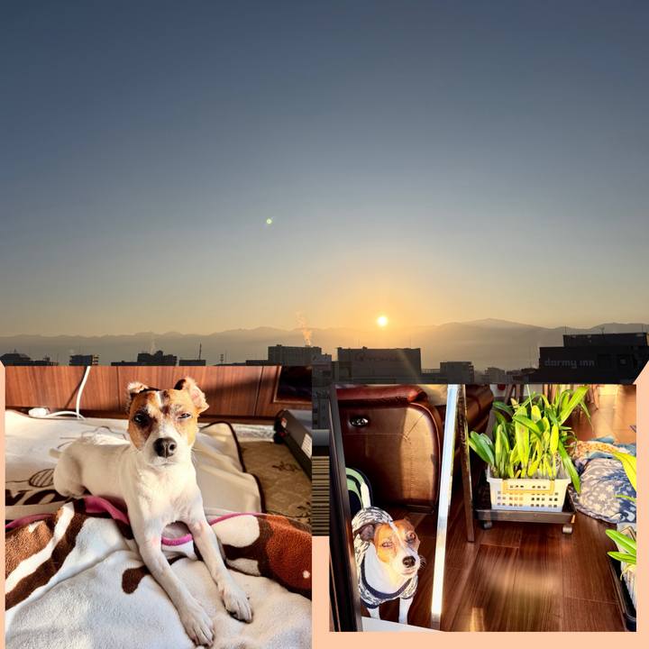 Fc9ff23f 1828 45c2 9f31 8ba7fbe81e22 1771376359687