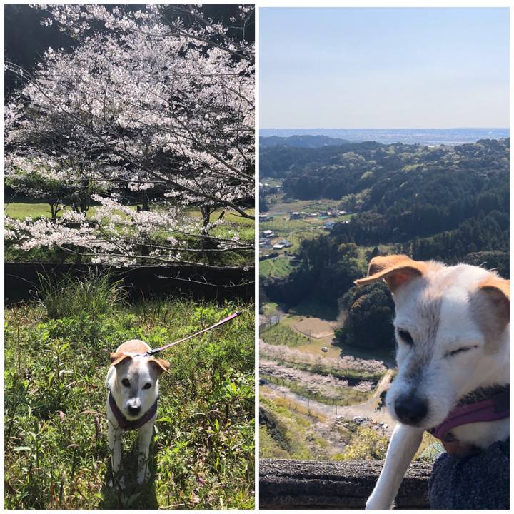 Fca00319 e36d 4dfb bc80 0be3f04ea6d1 1586081389934