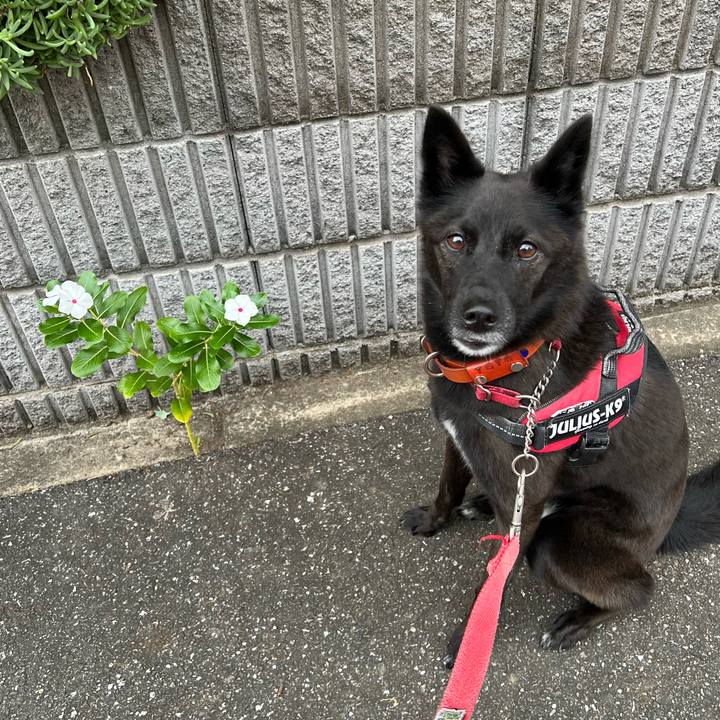 Fca04377 21cc 4347 ad03 6271a83f64fe 1666400450533